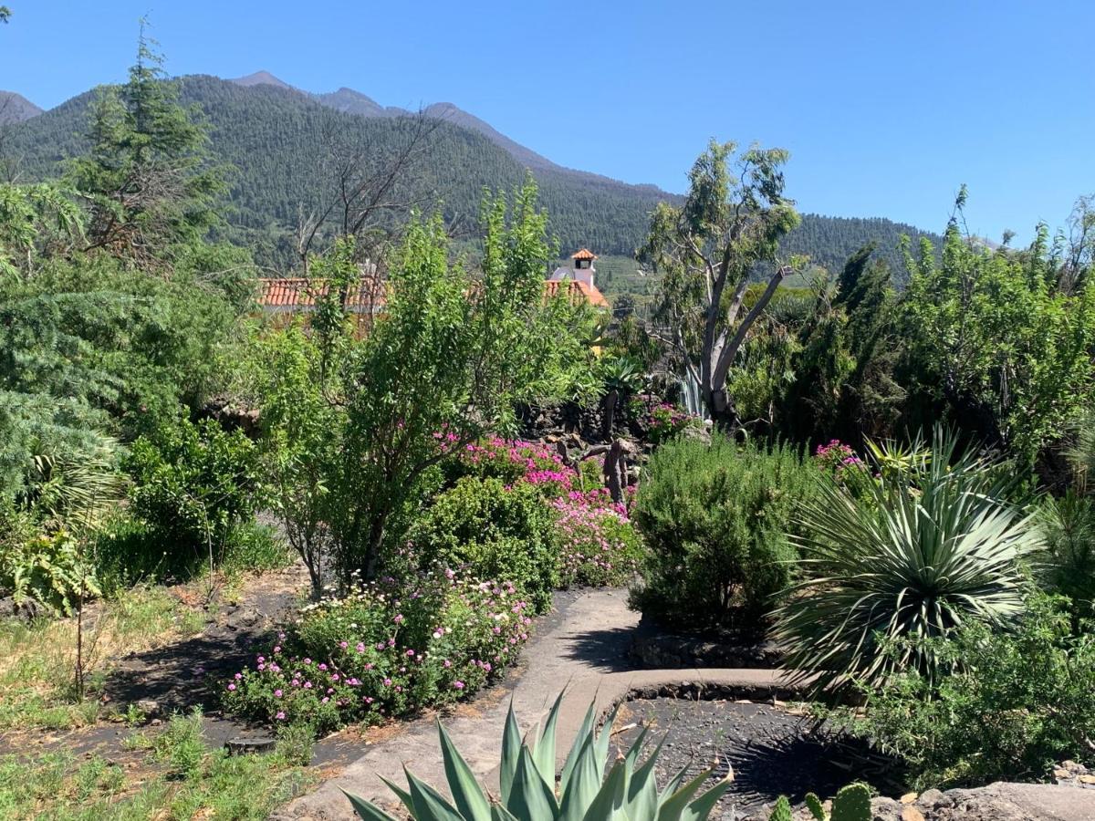 エル・パソ Casa Piedras Blancas With Private Gardenヴィラ エクステリア 写真