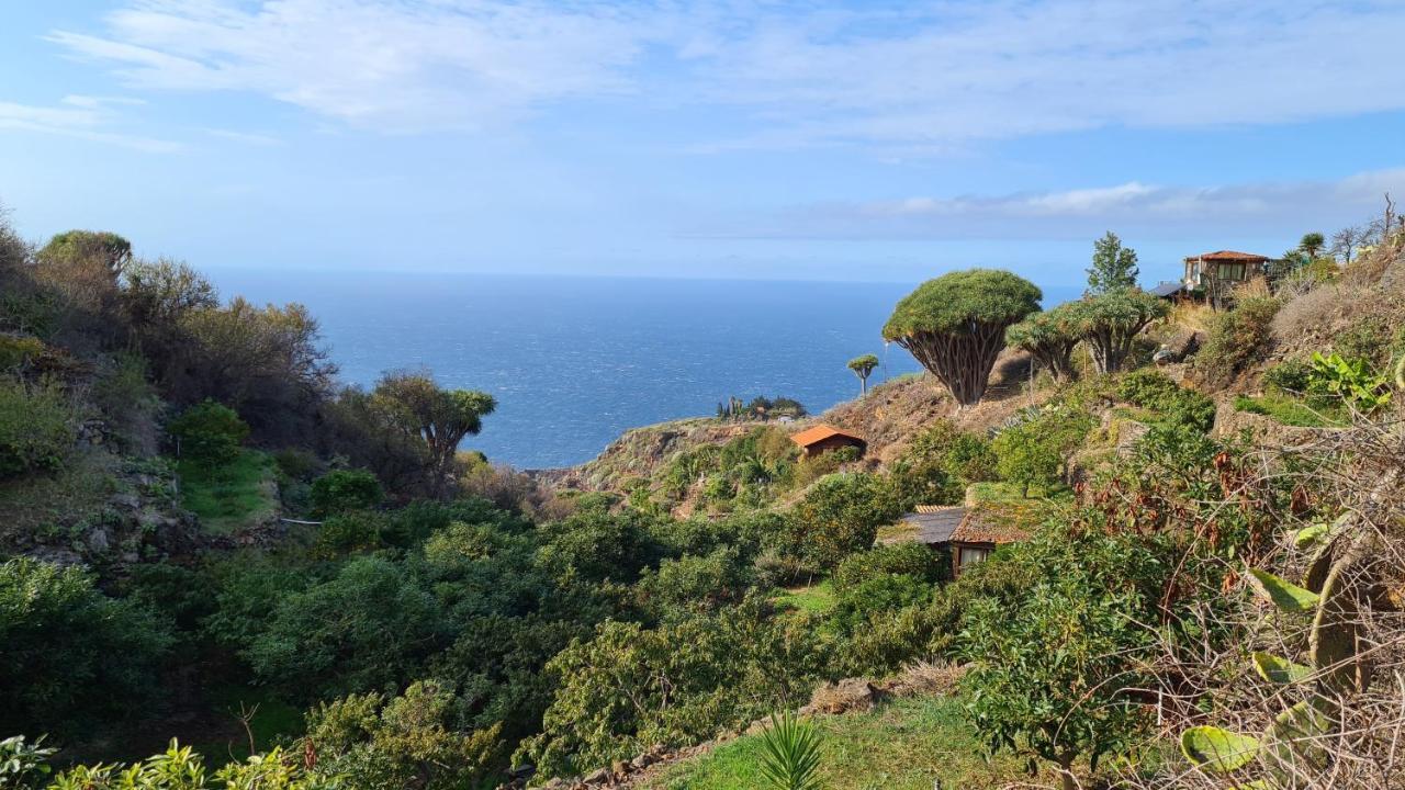エル・パソ Casa Piedras Blancas With Private Gardenヴィラ エクステリア 写真